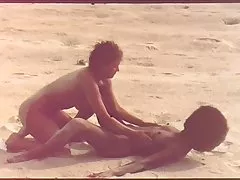 אפריקה אהבה 2