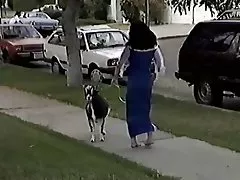 קוואזימודו דמס מגעיל xxx